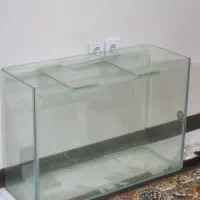 اکواریوم ۸۰ سانت|ماهی|اهواز, کوروش|دیوار