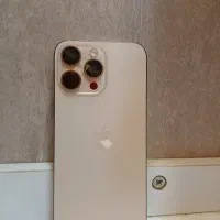16پرومکس ریجستر شده