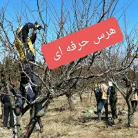 باغبانی، هرس،سمپاشی،کودهی،گلکاری و درختکاری