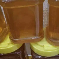 فروش عسل مرغوب درمانی کردستان|عمده‌فروشی|بندر ماهشهر, |دیوار