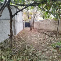 ویلا ییلاقی|اجارهٔ خانه و ویلا|کجور, |دیوار