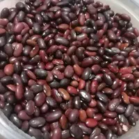 لوبیا قرمز خارجی عمده (بالای 20 کیلو)