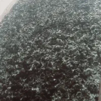 کود کمپوست|خدمات باغبانی و درختکاری|گنبد کاووس, |دیوار