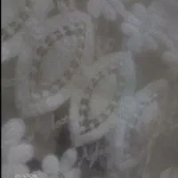 پرده|پرده، رانر، رومیزی|میان ولایت, |دیوار