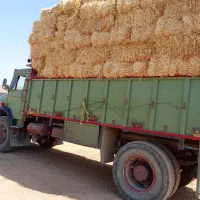 کاه بسته بندی