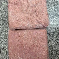 بهترین غذای خانگی سگ