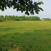 فروش زمین