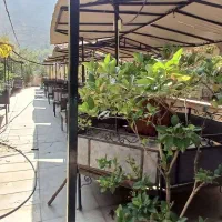 اجاره باغ رستوران/برند/رودک OUSHAN VILLA