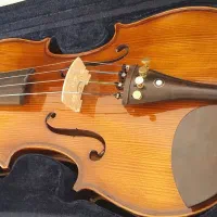 ویولن هافنر as180 سایز ۴/۴|ویولن|اصفهان, آبشار|دیوار