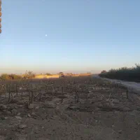 زمین باغی و ویلایی با سهم آب چاه|فروش زمین و ملک کلنگی|ایلخچی, |دیوار