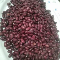 فروش لوبیا قرمز برای کاشت پاک شده