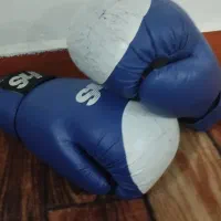 کیسه بکس و دسکش|تجهیزات ورزشی|کرج, حصارک پایین|دیوار