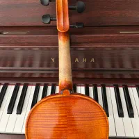 ویولن دست ساز حرفه ای با شناسنامه و لوازم کامل