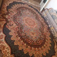 فرش۶متری تمیز بدون زدگی و سوختگی|فرش|دورود, |دیوار