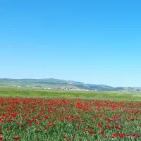 زمین-کشاورزی-روستای-ننه-کران