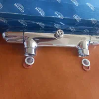 شیر گروهه اصلی آلمان گروهه