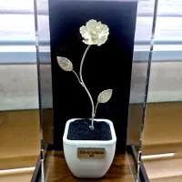 گل نقره|صنایع دستی و سایر لوازم تزئینی|اصفهان, سرتاوه|دیوار