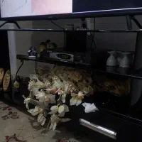 میز تلویزیونی