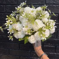 بوته ریز داودی