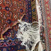 فرشید دست باف کناره پنج گل|فرش|اردبیل, |دیوار