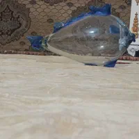 تنگ ماهی مدل ماهی