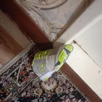 کفش سالنی جوما