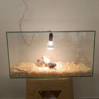 چند عدد شیشه آکواریوم و یک عدد آکواریوم مادرمصنوعی|لوازم جانبی حیوانات|تهران, شهرک رضویه|دیوار