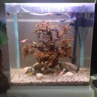 اکواریوم شیشه خم شرکتی اکوا