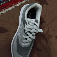 پیدا شودگان