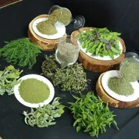 فروش سبزیجات و چای میوه خشک شده با کیفیت