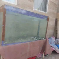 آکواریوم با چهارپایه فروشی|ماهی|بیرجند, |دیوار