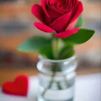 راهنمایی در مورد لاغری و افزودن وزن