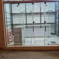 مغازه اجاره ای جانبازان