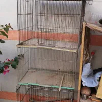 قفس بزرگ و کوچک و جا دونی و آبی|لوازم جانبی حیوانات|قم, اسمعیل آباد|دیوار