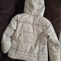 کاپشن جنس خوب درحدنو|لباس|چهارباغ, |دیوار