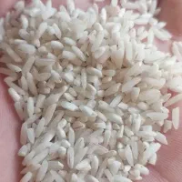 برنج نیم دانه هاشمی (عطری)|خوردنی و آشامیدنی|زنجان, |دیوار