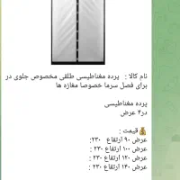 پرده مغناطیسی طلقی