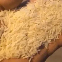 برنج سورت بوجار سوپر اعلا دمسیاه مینودشت مستقیم|خوردنی و آشامیدنی|مینودشت, |دیوار