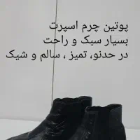 کیف و کفش|کیف، کفش، کمربند|آمل, |دیوار