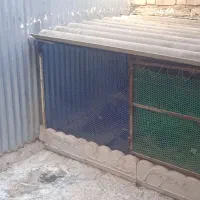 قفس آماده مرغ