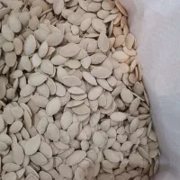 تخمه کدو اعلا خوشمزه و تازه