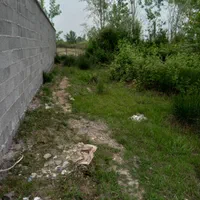 فروش زمین ۲۶۷ متری در رشت روستای کولوش طالشان|فروش زمین و ملک کلنگی|رشت, احمد گوراب|دیوار