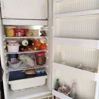 فروش فوری یخچال جنرال استیل با کیفیت|یخچال و فریزر|رشت, لاکان|دیوار