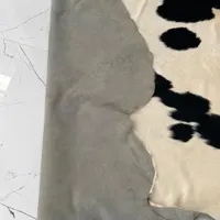 چرم دباغی شده گاو بهترین رنگ و قرینه حدود ۴ متر|فرش|چالوس, |دیوار