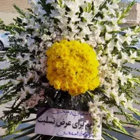 تاج گل|گل و گیاه طبیعی|شیراز, دارالرحمه|دیوار