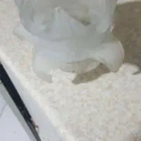 حباب لوستر|لوستر و چراغ آویز|کرج, گلشهر|دیوار