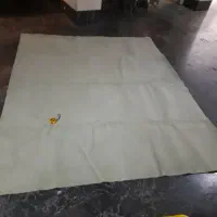 موکت پالاز
