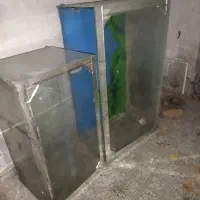 آکواریوم ماهی ۲ عددسالم