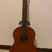 گیتار Aria AK80