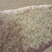 برنج لنجان به شرط پخت|خوردنی و آشامیدنی|اصفهان, سرشبادران|دیوار